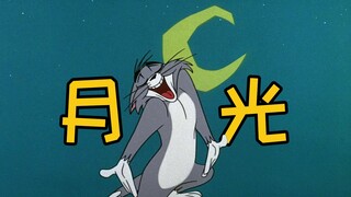 听过《月光》应该快30岁了吧