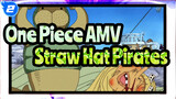 [One Piece AMV] Hilarious Daily Life of Straw Hat Pirates /Arabasta Saga (7)_2