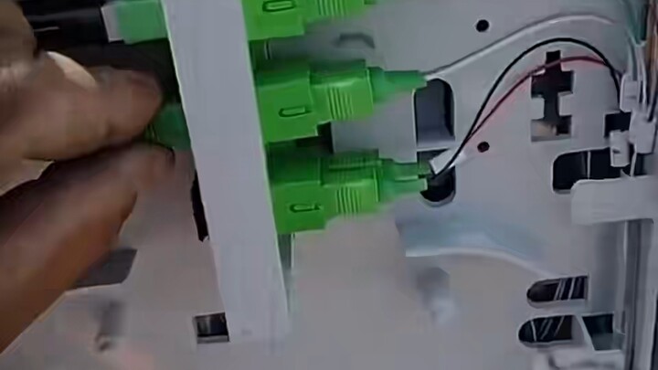 The Roar of the Wild Cable