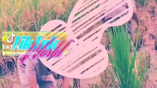 松松和二毛： 吃鱼香肉丝 （第100集）