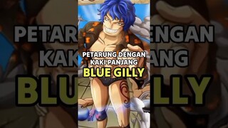 PETARUNG DENGAN KAKI PANJANG BLUE GILLY #onepiece