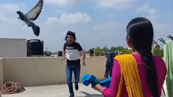 entertainment video