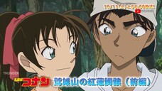 Thám Tử Lừng Danh Conan - Tập 1178 (Preview)