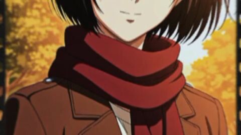 mikasa