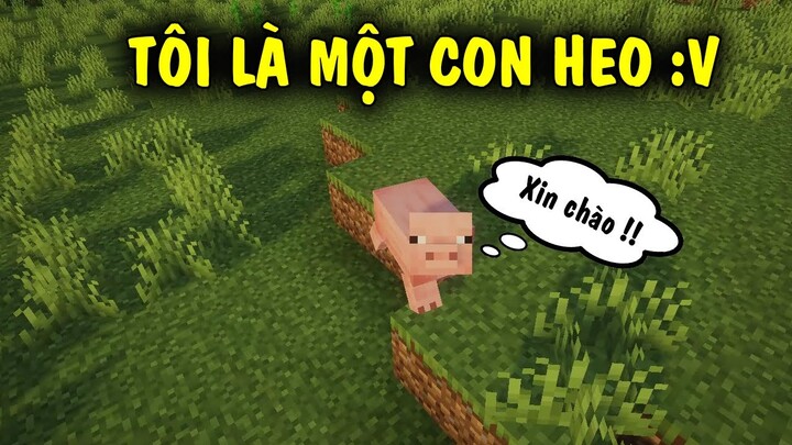 Tôi đã biến thành con Heo trong Minecraft