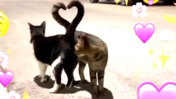 i❤u