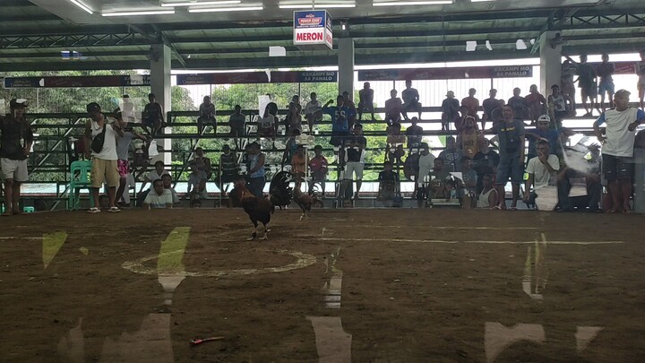 Banderado 1st Win 🔥💯