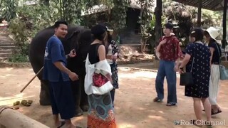 fcน้ำเพชรน่ารักกันทุกคนเลยครับ