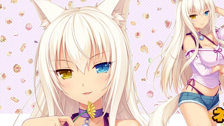 NEKOPARA Coconut 1/4 Figure Unpacking~Native Binding~