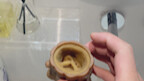 What is this? I found it in my friend's bathroom...