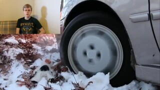 "Everyday Situations" 07: Stuck Tom's Reaction