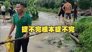 下暴雨的好处，捉不完根本捉不完