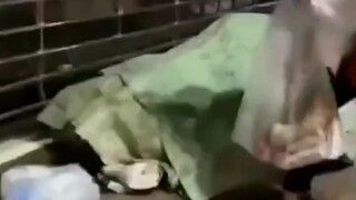 Just as I was falling asleep, you woke me up—giving me only a 50-cent mini bun. Isn't your kindness 