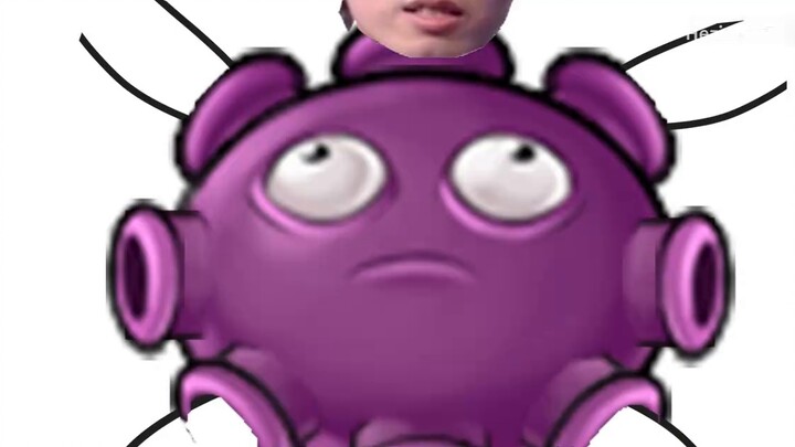 😨 قصة الضحك البحرية: كل مكان مليء بالتفجيرات