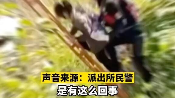 12月6日广东湛江，网曝一小朋友被一男子扔到桥下，民警：确有此事正在处理