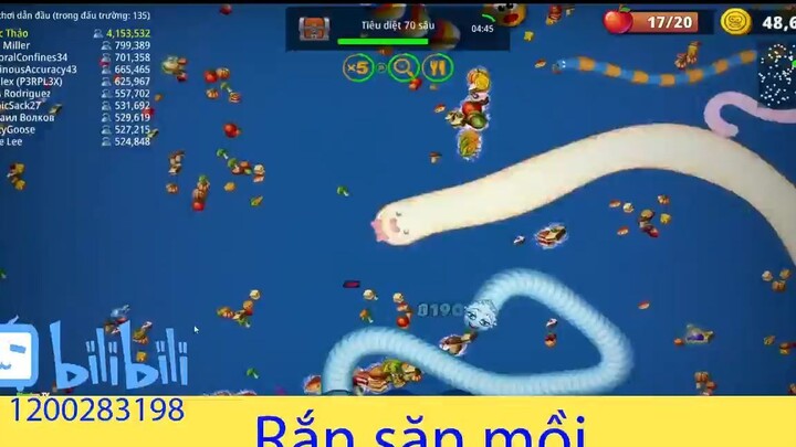 Con rắn có nơ với cái top 1 #game