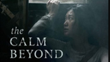 The calm beyond (2020)