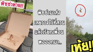 รวมคลิปตลกๆ : นกก็อยากกินพิซซ่าเหมือนกันนะมานุด!!