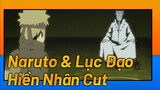 720P/Naruto Edit | Nghe Tin Về Lục Đạo Hiền Nhân, Naruto Bĩu Môi Ngán Ngẩm