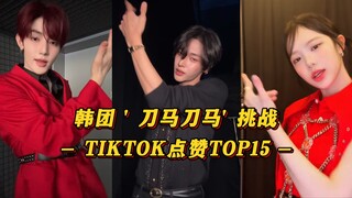 【刀马刀马】韩团持续热！章昊也来了！IAN女豆第一！元彬持续唯一破百万赞！韩团的 '刀马刀马' 挑战 TIKTOK点赞TOP15！