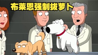 恶搞之家，布莱恩参加赛狗只为拔萝卜，结果关键时刻不行了
