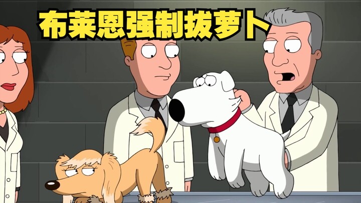 恶搞之家，布莱恩参加赛狗只为拔萝卜，结果关键时刻不行了
