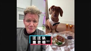 Gordon Ramsay Rants: Paw Patrol Wellington #YYY Subbing Team#