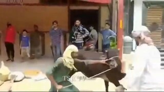#funny video 🤣 #short