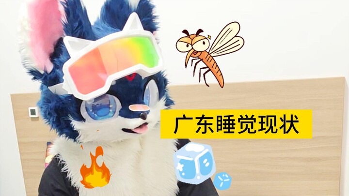 สถานการณ์การนอนหลับในกวางตุ้ง