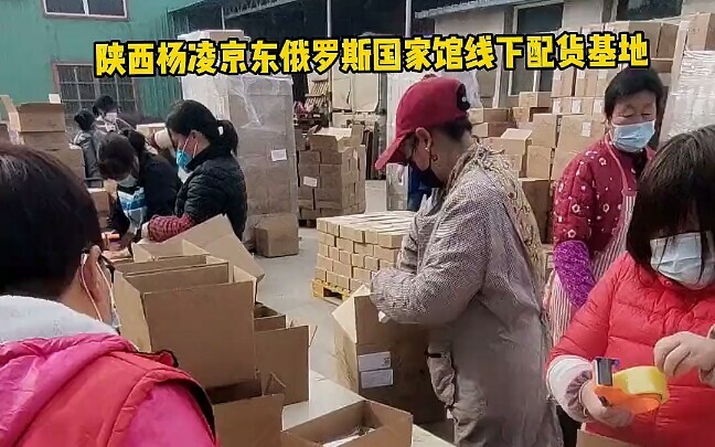 Current Status of On-Site Distribution at the Russian National Pavilion