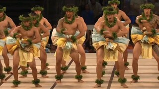 ✔ ما هو البرنامج الذي أثار حماسة الحكمة الأنثى؟