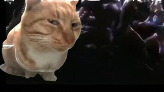 If the four major concepts exchange bosses