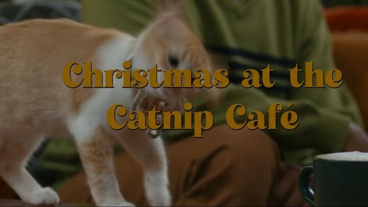 Christmas at the Catnip Cafe (2025) | Romance | Western Movie