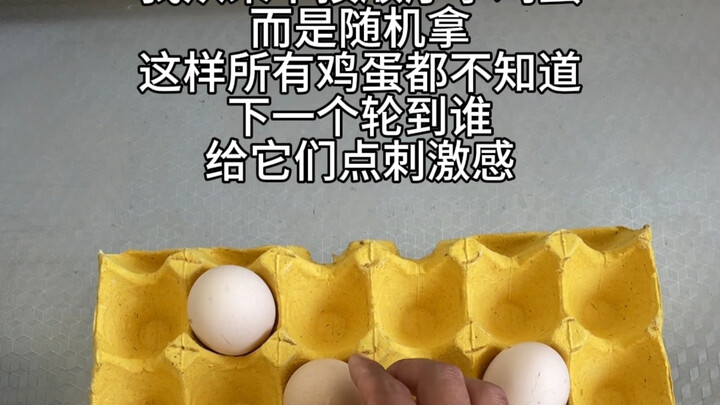 Chẳng bao giờ lấy trứng theo thứ tự, cứ cho chúng chút cảm giác “phấn khích” thôi!