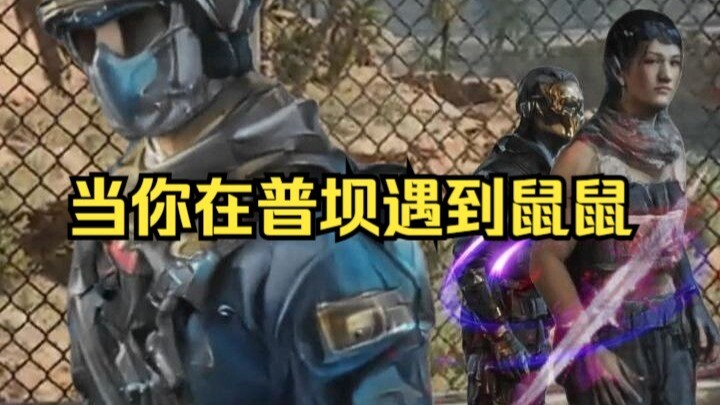 When You Encounter Mice in Puba