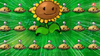 【这些植物有点憨】向日葵：有阳光就是可以为所欲为！