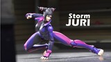 The crazy and charming villain, Stormtoys Street Fighter Julie [play and share]