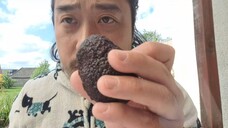 ASMR AVOCADO (EATING SOUNDS & AIR TRACING)
