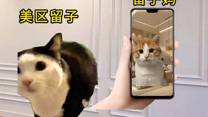 Moments When International Students Break Down