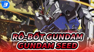 Rô-bốt Gundam|[2019 Lễ hội âm nhạc tại sân vận động Tokyo Dome] Phần vê Gundam SEED_3