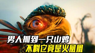 男人抓到一只山鸡，不料它竟是火凤凰，从此人生就开了挂，奇幻片
