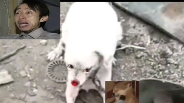 Just enjoy something warm and tasty (online footage)