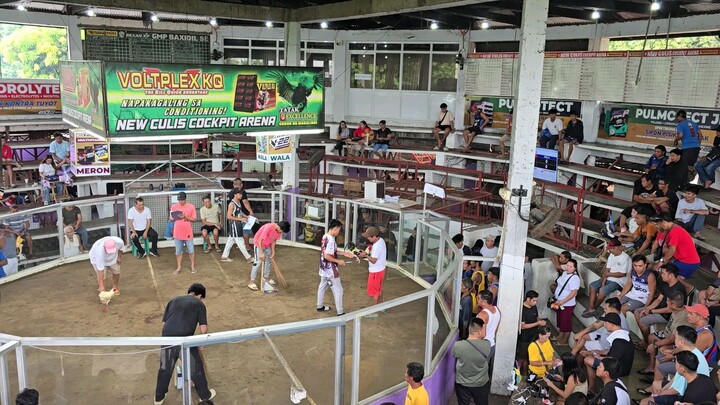 2 hits ulutan culis arena