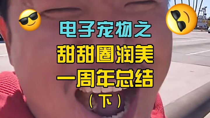 殖人甜甜圈王伟恒润美一周年总结（下）