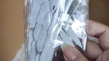 70 OEM MG Freedom Gundam with free shipping, now everyone calls me a philanthropist