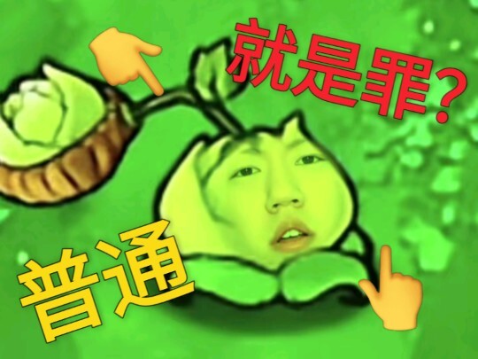 “ความเจ็บปวดของกะหล่ำปลี”