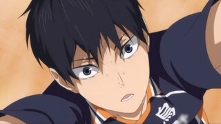 Fortunately, Kageyama, who had poor grades, met the best Karasuno. It was no longer just volleyball,