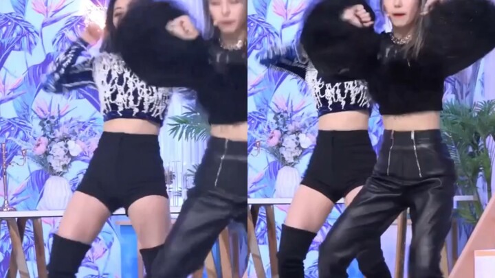 أشارك فقط دون تقييم | من يمكنه تخمين من هو الأفضل بالفعل؟