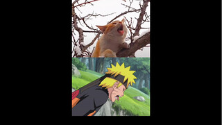 # Naruto # Same as before