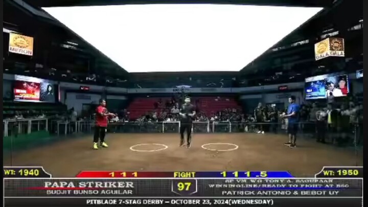 Papa Striker vs Stallion Farm/ P.A